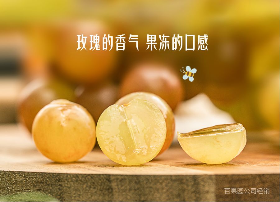 有玫瑰香气的葡萄,有玫瑰的香味的葡萄