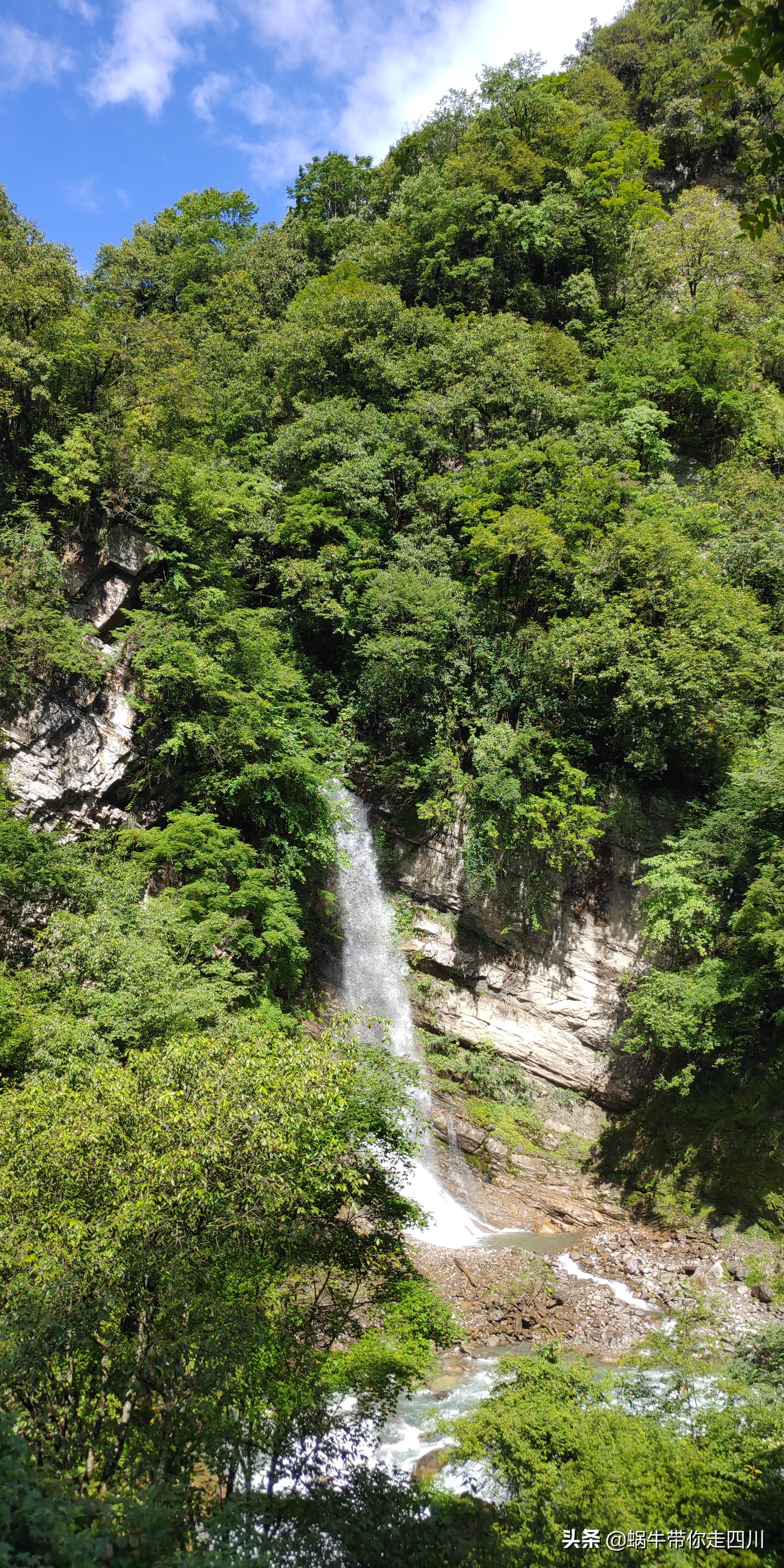 带小朋友出去看小动物,带小孩去海洋动物园