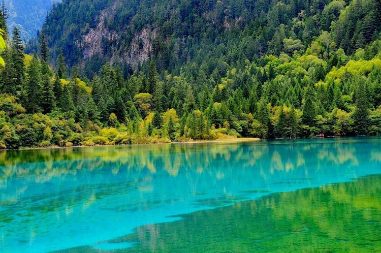 九寨沟最美的十个景点,九寨沟最美的景点排名前十