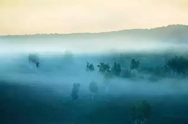 相思是一种美丽的缘分,相思是一种温馨的句子