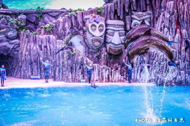 来珠海旅游必打卡的景点,春节珠海亲子游玩地方推荐