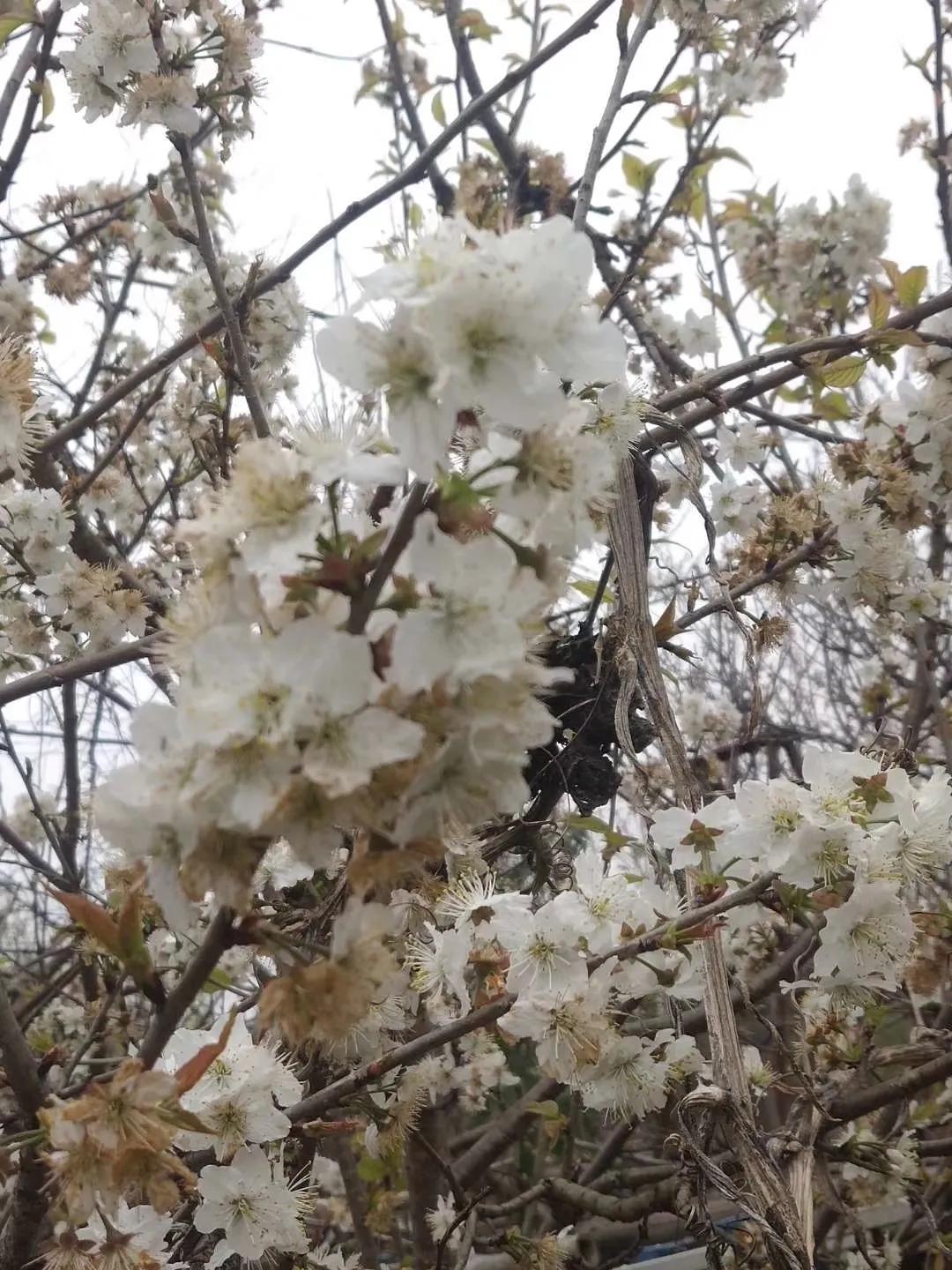 有一种缘分叫母子缘,有一种缘分我们要珍惜