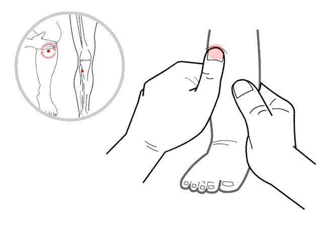 夏天小孩怎么健脾胃,夏天调理脾胃的汤有哪些