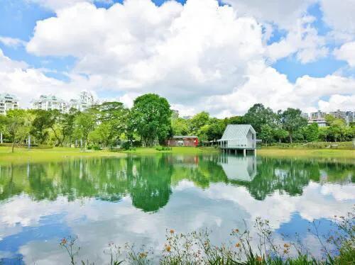 深圳花海公园推荐景点有哪些,深圳花海公园地址在哪里