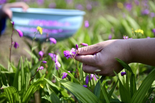 农作物一亩地能挣上万元吗,农村一亩地100元能赚多少