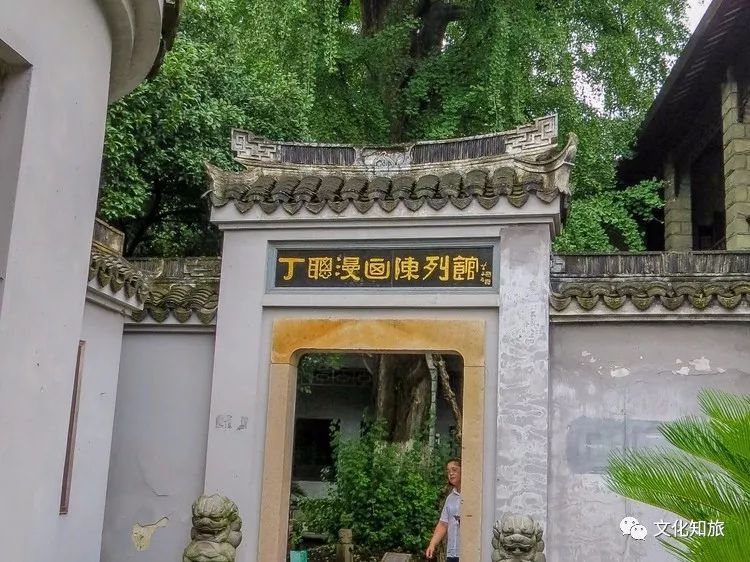 枫泾古镇旅游攻略,上海千年古镇在哪里