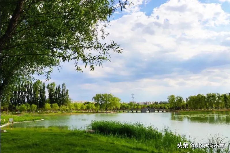 芒种旅游景点推荐,芒种至仲夏节气