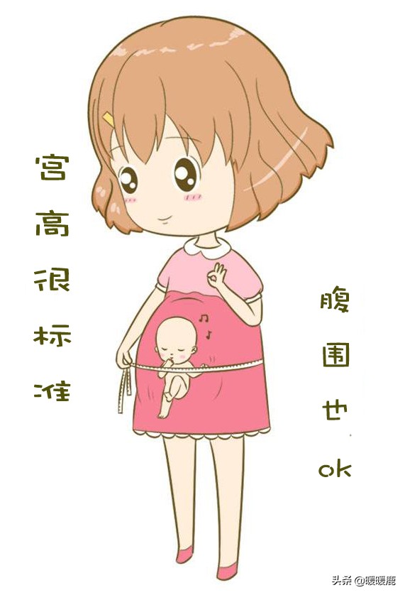 产检为什么要量宫高腹围,产检检查腹围是为什么