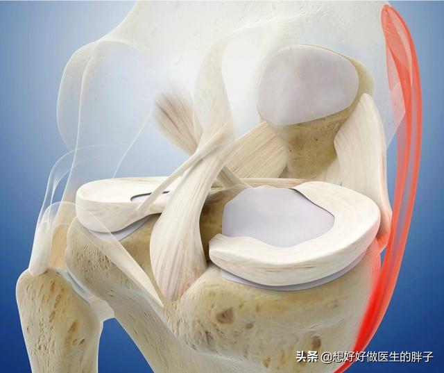 怎么走路才能缓解膝盖的疼痛,走路多了膝盖疼怎么康复锻炼
