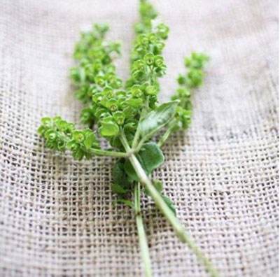 澶忓ぉ绌夸簹楹昏垝鏈嶈繕鏄┛闆汉鑸掓湇,鍗冧竾涓嶈绌夸笣缁搁拡缁囩被琛ｆ湇