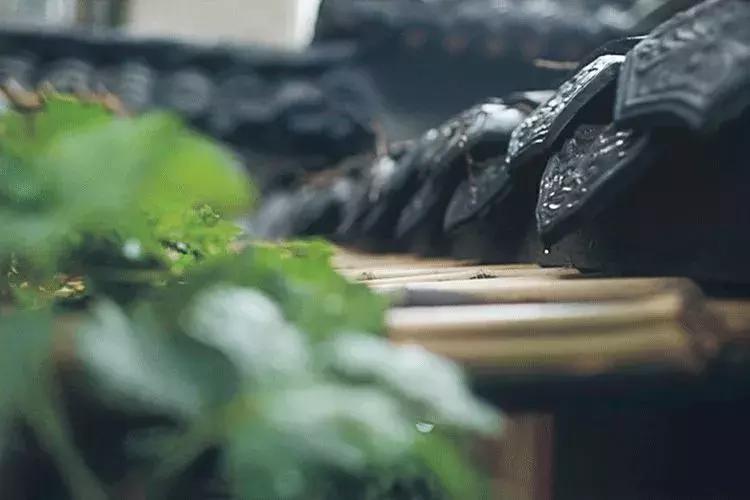 治家格言解析完整版汇集100句,治家格言100篇