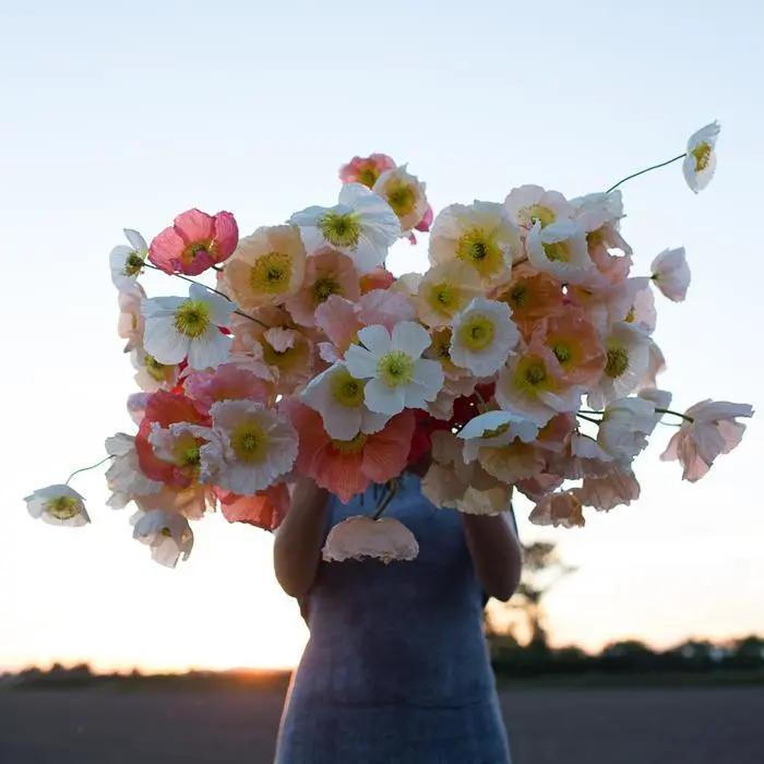 花店三八妇女节该如何准备,三八妇女节花店运营的五个步骤