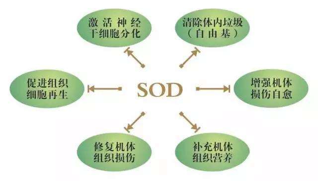 大宝sod蜜到底怎么样,大宝sod蜜到底是什么东西