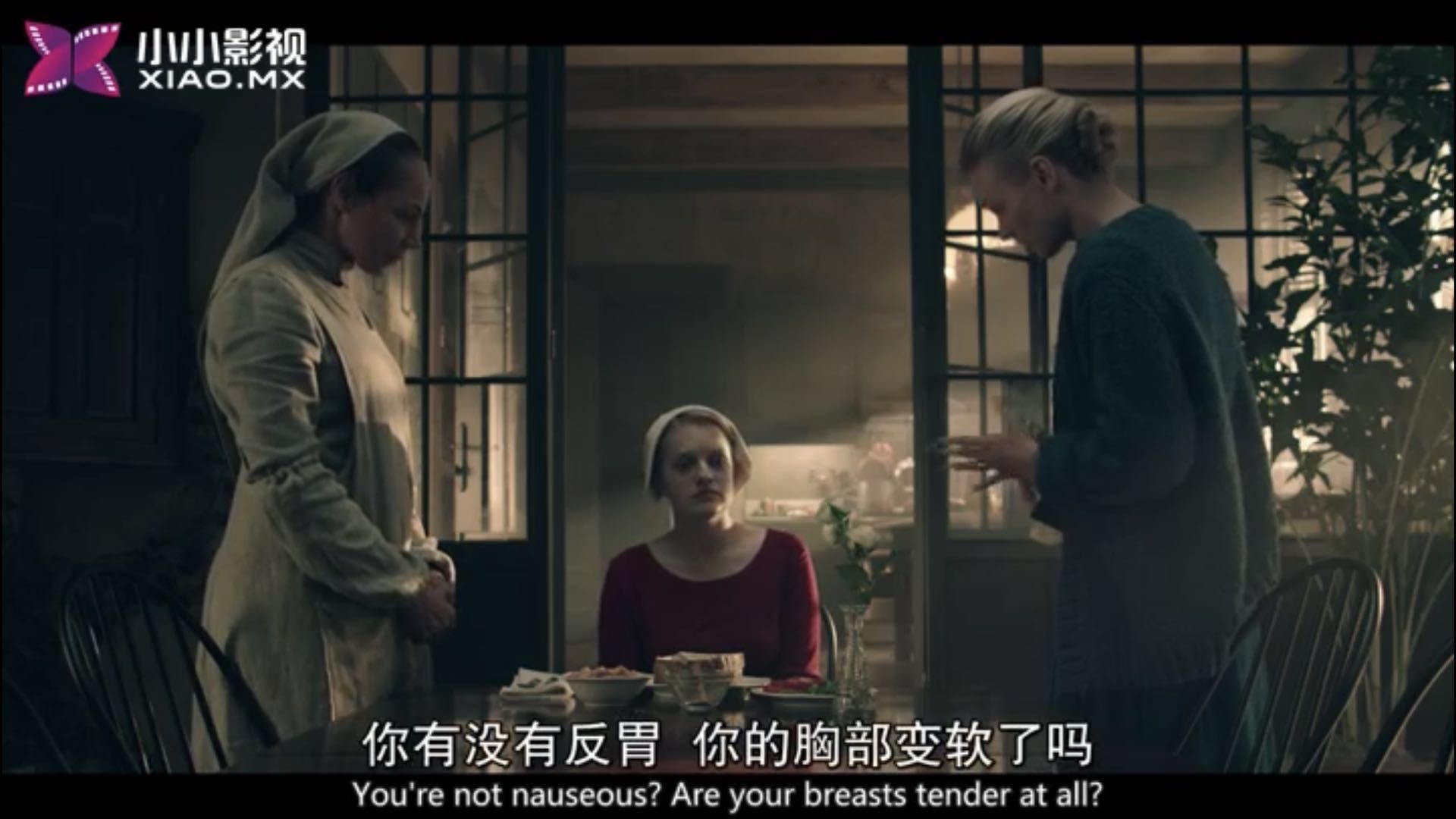 使女的故事真实事件,使女的故事发生在哪里