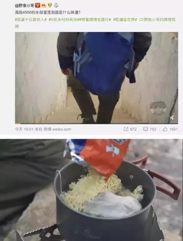 网红摘濒危植物煮泡面后,道歉了