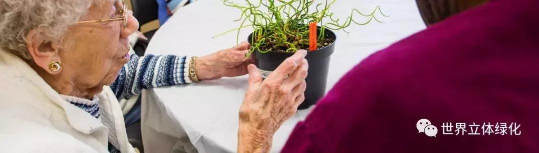 为什么园艺疗法能快速发展,园艺疗法的应用领域
