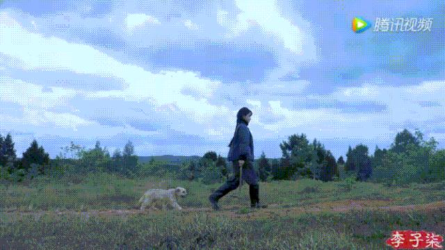 李子柒视频转场技巧,李子柒拍摄视频技巧