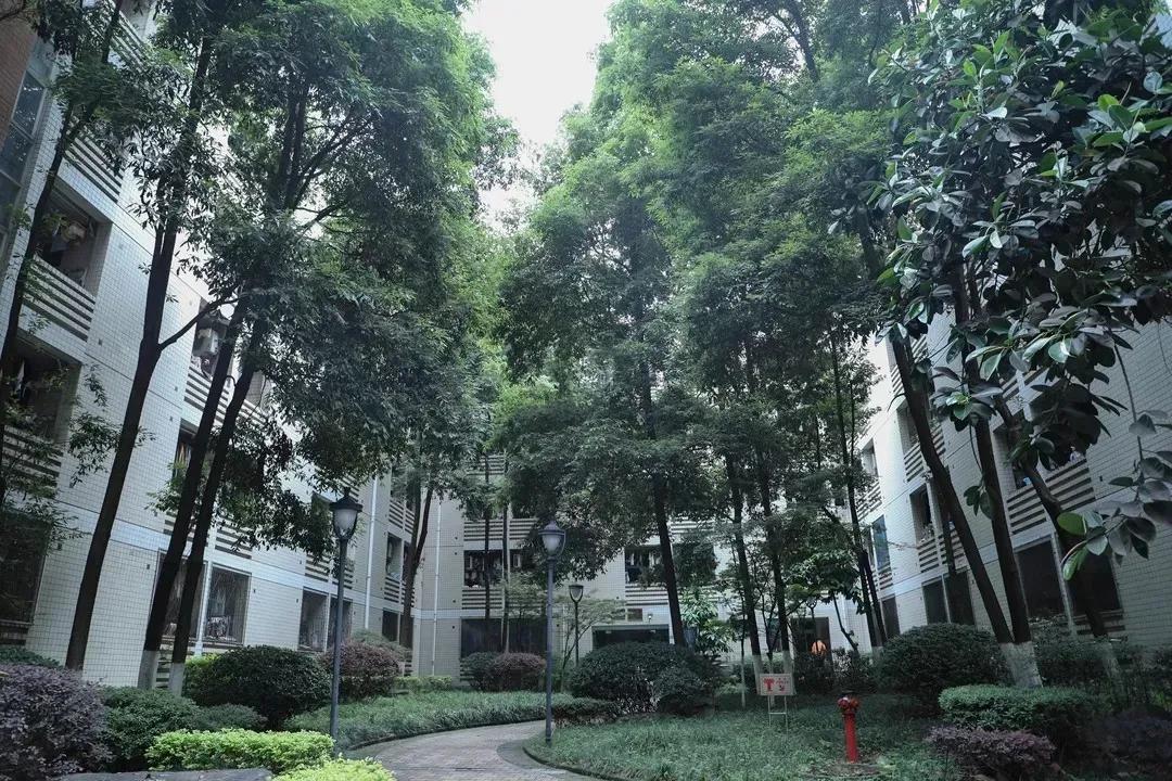 重庆学校最豪华的宿舍,重庆超豪华房子