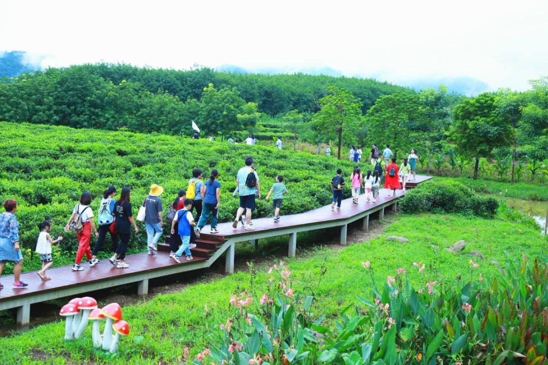 体育旅游赛事策划,体育旅游赛事项目