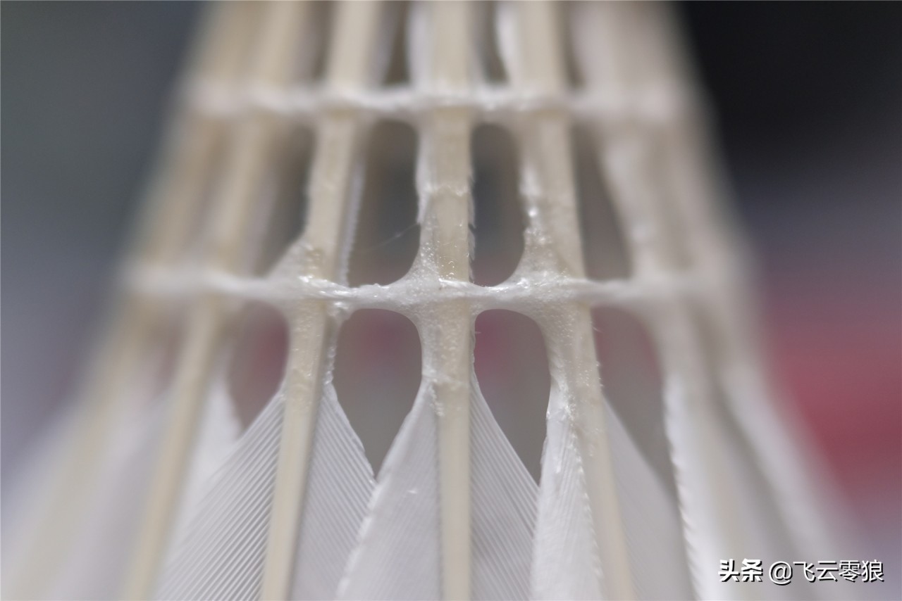 「中羽在线飞云零狼」威羽斯钻一钻二钻五评测——高性价比鹅毛球