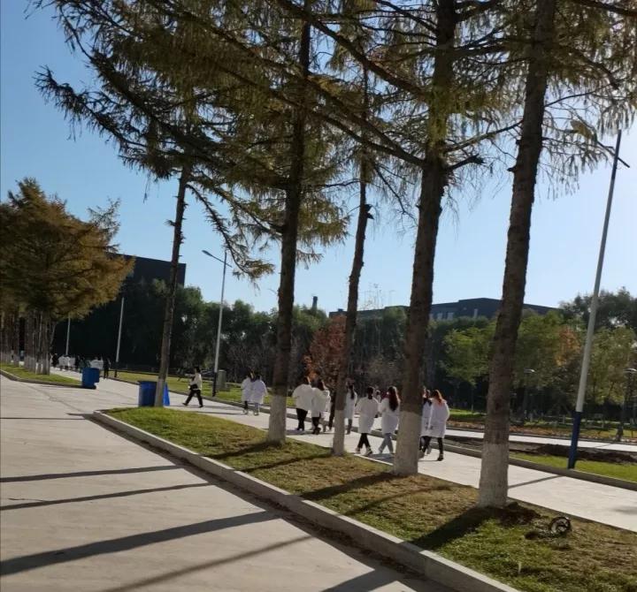 吉林农业科技学院在吉林省哪个市,2022吉林高校学科规模