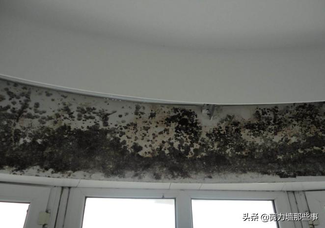 草酸对墙面泛碱有效果吗,抹灰墙面泛碱的原因及解决方法