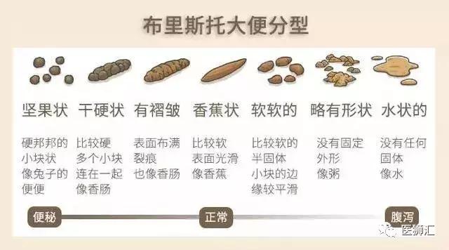 带薪蹲坑指南,蹲坑指南