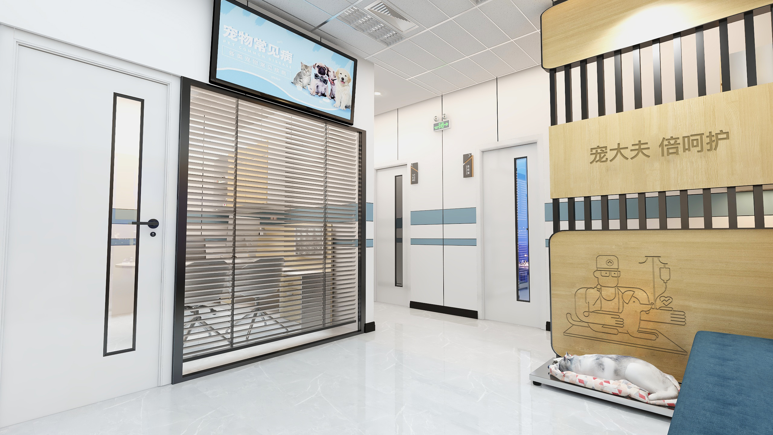 开宠物医院有前途吗,如何开一家宠物医院