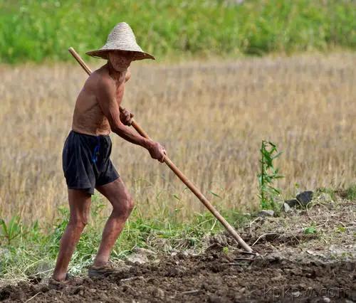 感人催人泪下的歌曲酒干倘卖无,酒干倘卖无催人泪下的感人视频