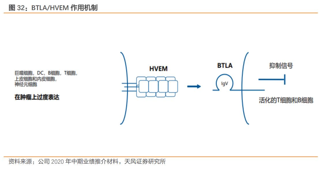 君实生物拓益,君实生物在研项目