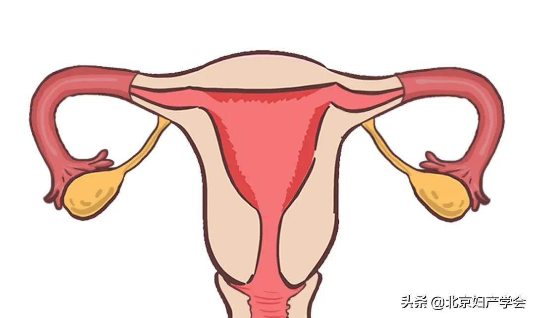 子宫内膜息肉的诊断和护理,7*3mm的子宫内膜息肉