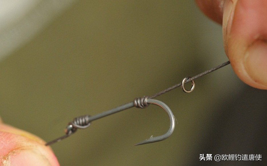 欧鲤钓钓组篇,欧鲤钓组和飞德钓组