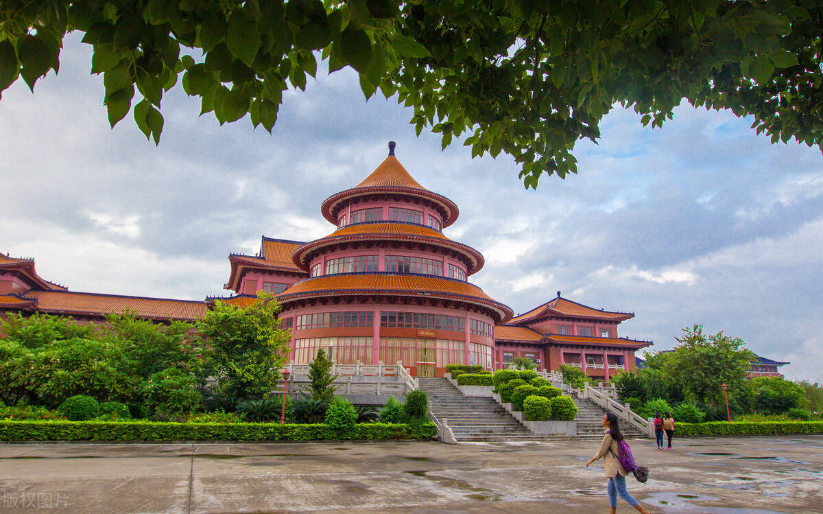 文科生低分选什么专业就业前景好,文科生就业好的十大专业