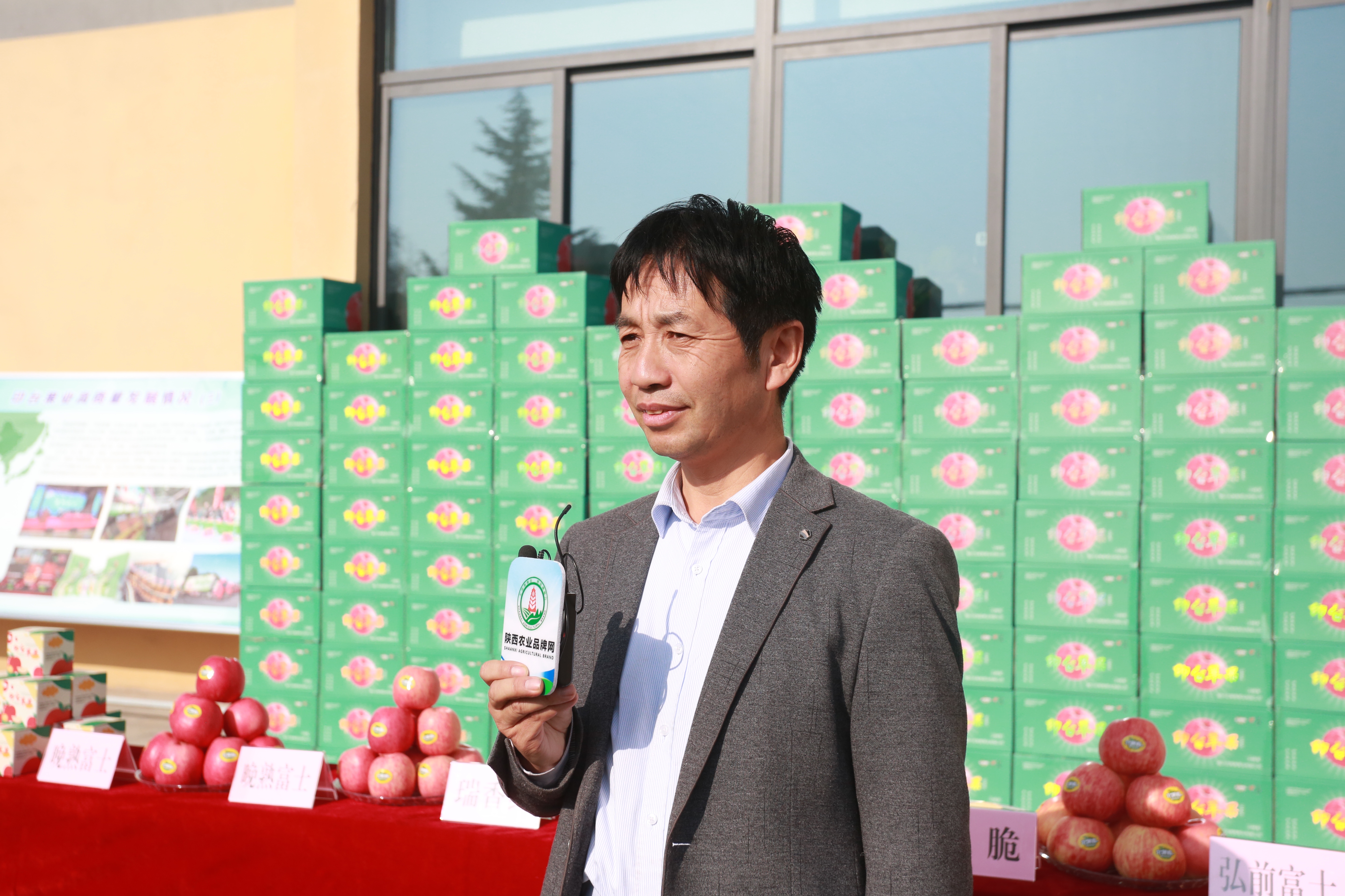 一品苹果·唯美印台,陕西果业产区行走进铜川印台区苹果优生区