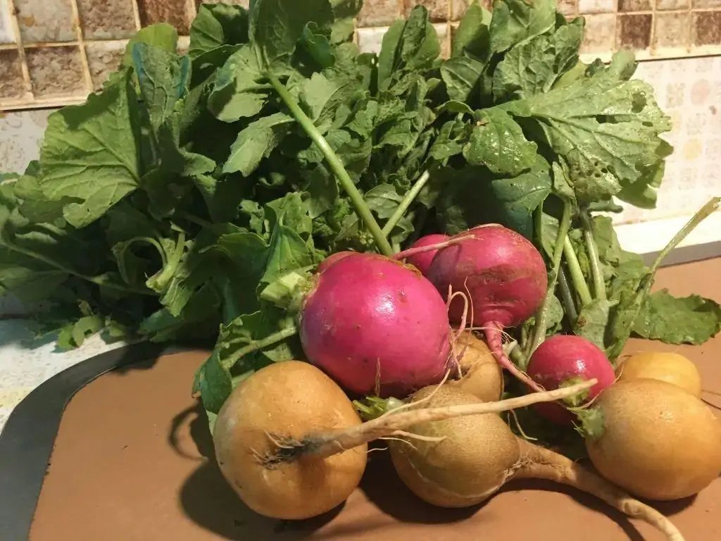 抠门最高境界一家三口吃一个鸡蛋,抠门老板家财万贯一个鸡蛋吃一年