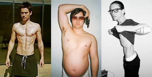 内胚型中胚型外胚型体质区分,内胚型体型