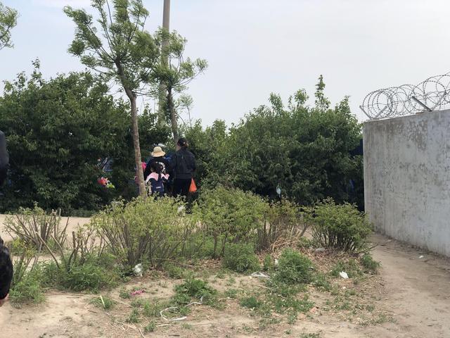 天津七里海赶海,偶遇赶海