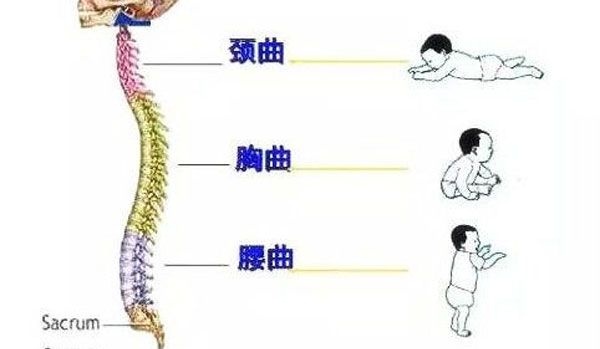 警校体检身高差一点点有办法吗,警校体检身高不够