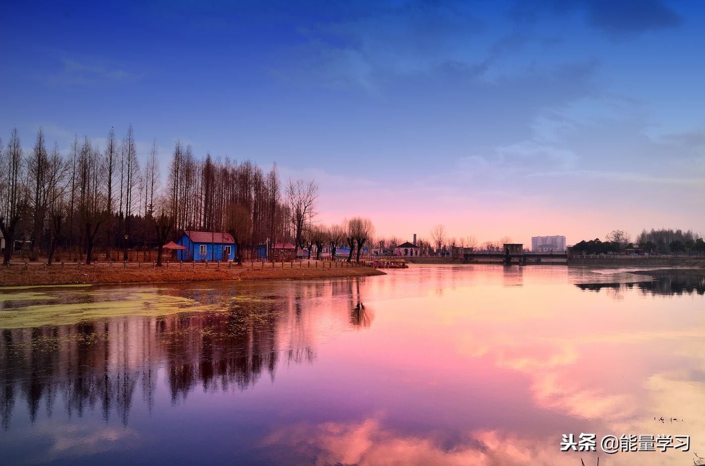 议论文常用的素材,议论文常用素材归纳