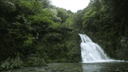 疫情解封后报复性消费的行业,疫情之后会出现消费狂潮么