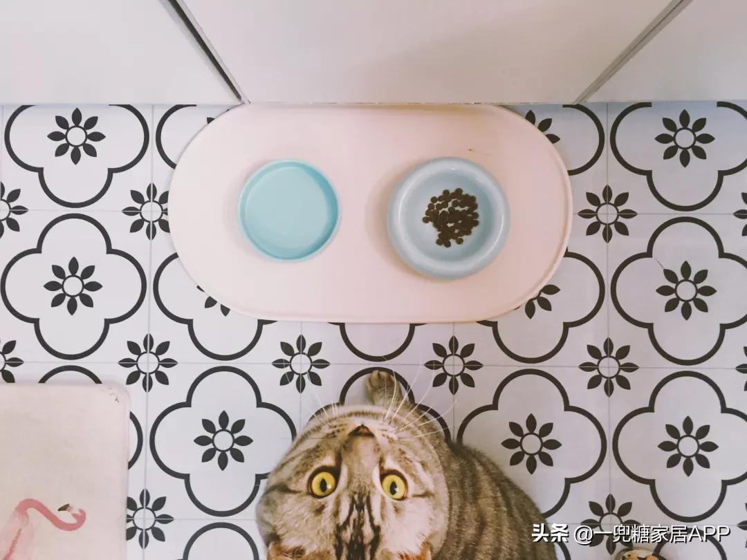 家居必备的100种好物,生活中常见的家居好物推荐