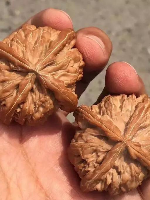 文玩核桃阴皮和反油,文玩核桃阴皮和反油怎么办