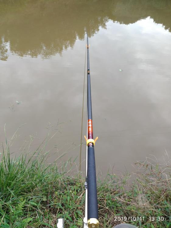 本汀宗师典藏版,本汀宗师完整视频