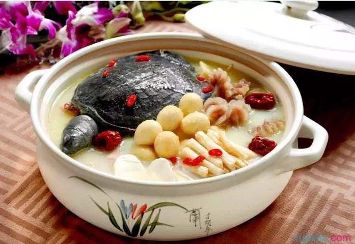 食疗汤补气血效果最好最快,驴肉和什么炖汤最好