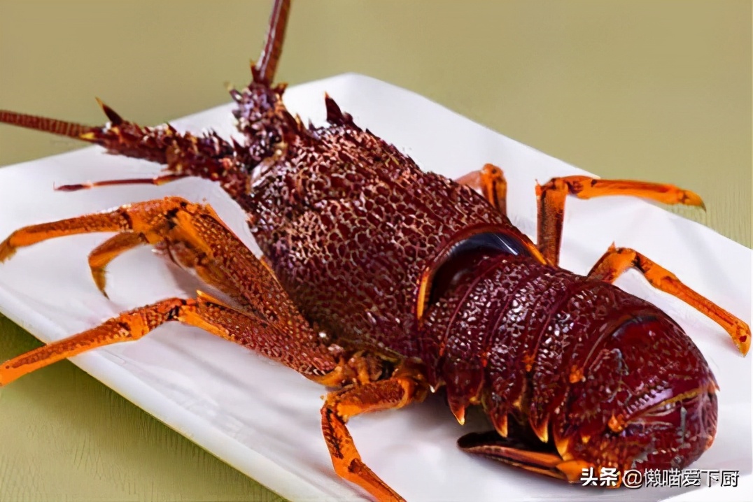 龙虾和澳龙的体型区别,澳龙和波龙的肉质区别