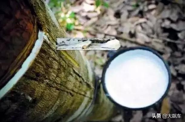 轮胎五颜六色好吗,轮胎只有黑色为什么没有其他颜色