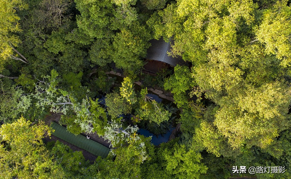 冬天云南哪里最适合居住,云南哪个城市冬暖夏凉适合养老