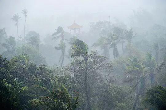 极端天气安全防范十条规定,关注天气预警落实好安全防护措施