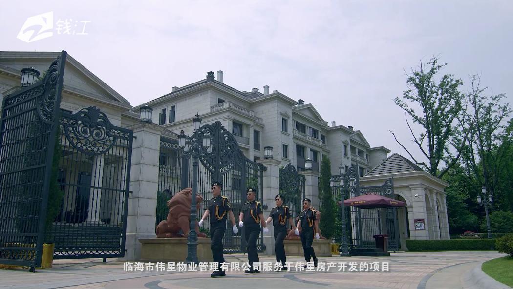 浙江宁波伟星新闻,伟星新闻联播