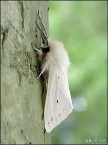 全民国家安全教育日的感受和看法,全民国家安全教育日筑牢国家安全